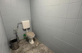 Spațiu Comercial, 88 mp, Piezisa, Vad Excepțional!