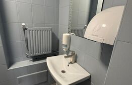 🏢 Spațiu Comercial de inchiriat, 88 mp utili , Piezisa, Vad Excepțional!