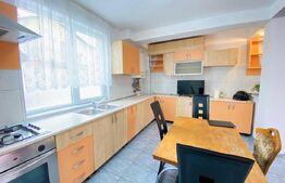 Casa individuala, 180 mp utili, 600 mp curte, parcare, zona Traian Vuia