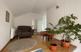 Casa individuala, 180 mp utili, 600 mp curte, parcare, zona Traian Vuia
