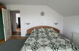 Casa individuala, 180 mp utili, 600 mp curte, parcare, zona Traian Vuia