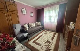 Apartament de vanzare, cu 2 camere decomandate, etaj 1, str Lunii,  Zorilor