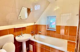 Apartament de inchiriat, cu 1 camera, 50 mp, parcare, zona Traian Vuia