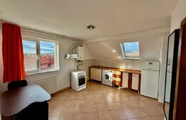 Apartament de inchiriat, cu 1 camera, 50 mp, parcare, zona Traian Vuia