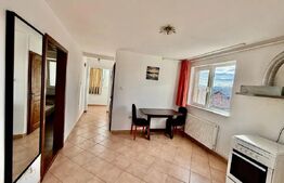 Apartament de inchiriat, cu 1 camera, 50 mp, parcare, zona Traian Vuia