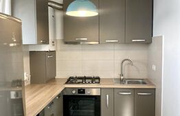 Apartament de inchiriat, cu 2 camere, 60mp, zona Calea Turzii,  Pet friendly