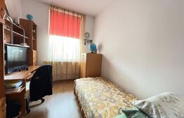 Apartament cu 2 camere la casa, 49 mp, zona Gruia 