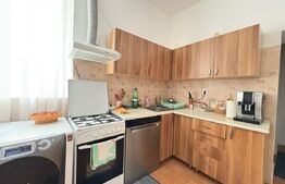 Apartament cu 2 camere la casa, 49 mp, zona Gruia 