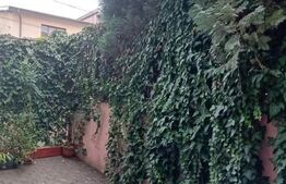 Apartament 3 camere, modern, pet friendly, zona Manastur