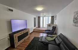 Apartament cu 2 camere semidecomandat, 80 mp, Gradina, zona Piezisa