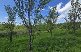 Cabană lemn cu 4 dormitoare, 120mp, teren intravilan de 1250mp