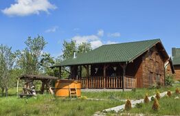 Cabană lemn cu 4 dormitoare, 120mp, teren intravilan de 1250mp