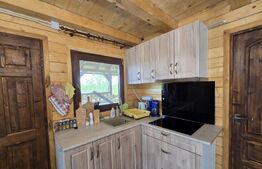 Cabană lemn cu 4 dormitoare, 120mp, teren intravilan de 1250mp