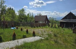 Cabană lemn cu 4 dormitoare, 120mp, teren intravilan de 1250mp