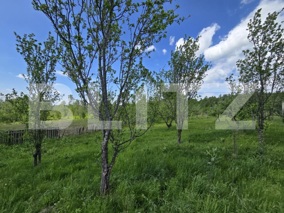Casa de vânzare 5 camere Dealu Negru - 171651CV | BLITZ Cluj-Napoca | Poza16
