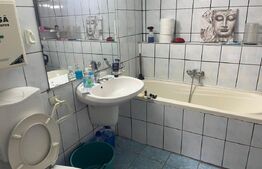 Proprietate cu 2 corpuri de clădire – ideală pentru pensiune sau locuință