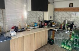 Proprietate cu 2 corpuri de clădire – ideală pentru pensiune sau locuință