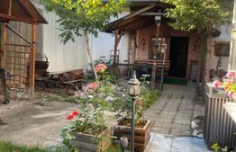 Proprietate cu 2 corpuri de clădire – ideală pentru pensiune sau locuință