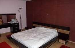 Vanzare apartament 3 camere, 115 mp, boxa, gradina, zona Apele Romane