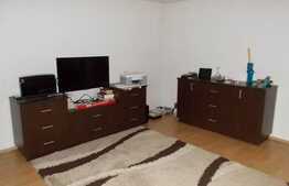 Vanzare apartament 3 camere, 115 mp, boxa, gradina, zona Apele Romane