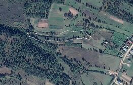 Teren extravilan 13103 mp in Dealu Mare! Oportunitate investitie!