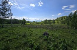 Teren extravilan 13103 mp in Dealu Mare! Oportunitate investitie!