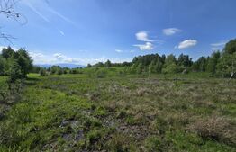 Teren extravilan 13103 mp in Dealu Mare! Oportunitate investitie!