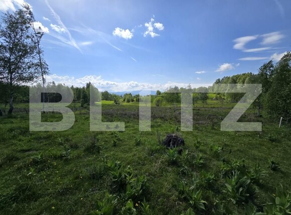 Teren de vânzare Dealu Negru - 171692TV | BLITZ Cluj-Napoca | Poza2