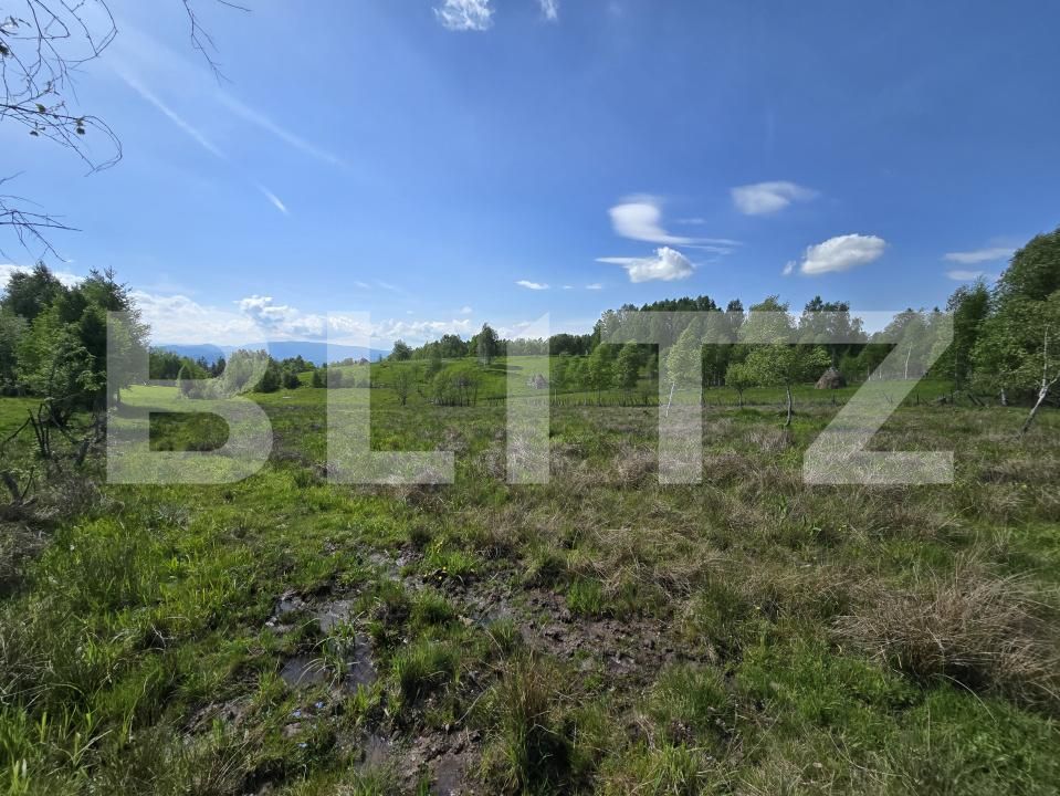 Teren de vânzare Dealu Negru - 171692TV | BLITZ Cluj-Napoca | Poza3