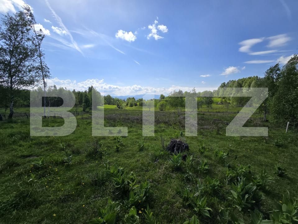 Teren de vânzare Dealu Negru - 171692TV | BLITZ Cluj-Napoca | Poza2