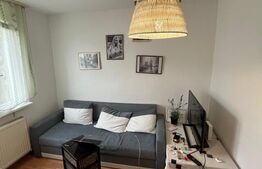 Apartament de inchiriat, cu 2 camere, 40 mp, PET FRIENDLY, zona Bucium