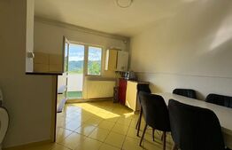 Apartament de vanzare, cu 2 camere decomandate, 54 mp,  zona Manastur 