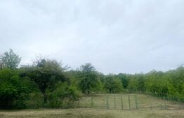 Casa de vanzare, cu 4 camere, 170mp, zona Garbau (Cornesti)