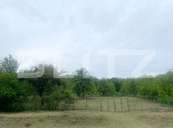 Casa de vânzare 4 camere Exterior Nord - 171758CV | BLITZ Cluj-Napoca | Poza16