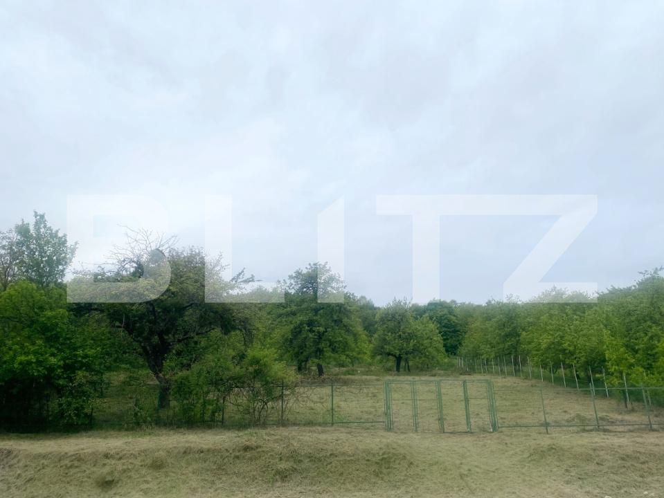 Casa de vânzare 4 camere Exterior Nord - 171758CV | BLITZ Cluj-Napoca | Poza16