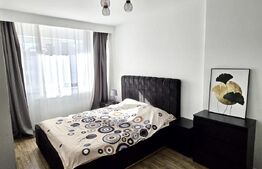 Apartament de inchiriat, cu 2 camere, 55 mp, zona VIVO, Pet friendly