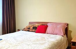 Apartament de vanzare, cu 3 camere decomndate, 65mp, intermediar, zona Mehedinti