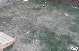 Apartament de vanzare  cu 1 camera, 31 mp! Gradina de 36 mp! Zona strazii Porii!