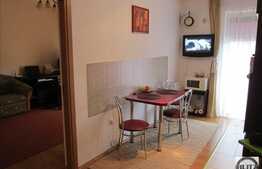 Vanzare apartament decomandat, 2 camere, 52 mp! Parcare! Zona strazii Florilor!