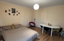 Apartament decomandat, mobilat si utilat, parcare inclusa in pret, zona Porii