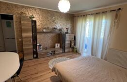 Apartament decomandat, mobilat si utilat, parcare inclusa in pret, zona Porii