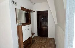 Apartament 2 camere, parcare, 45 mp, zona Muzeul Apei