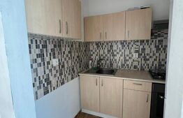 Apartament 2 camere, parcare, 45 mp, zona Muzeul Apei