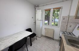Apartament 2 camere, 45mp, zona Big