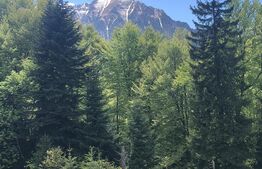 De vanzare, teren intravilan 10.000mp, Predeal