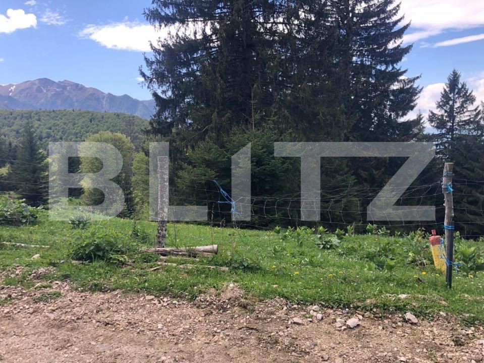 Teren de vânzare Exterior Est - 171956TV | BLITZ Brașov | Poza7