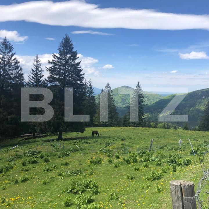 Teren de vânzare Exterior Est - 171956TV | BLITZ Brașov | Poza9