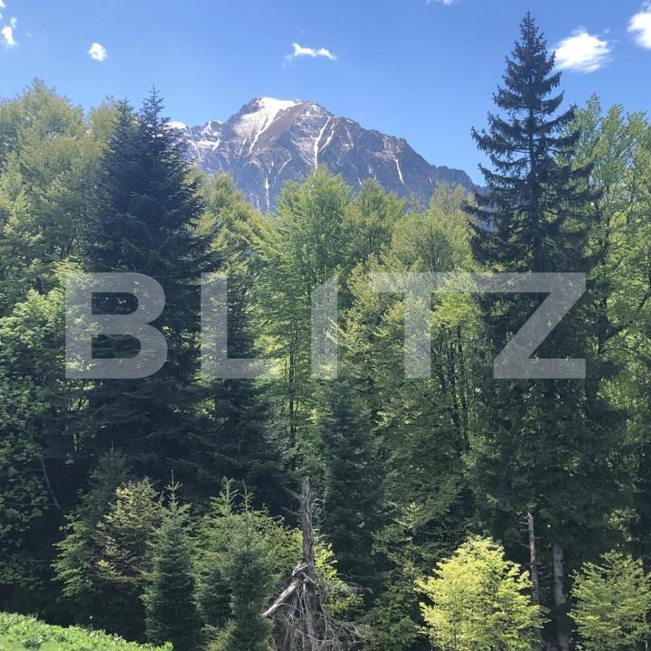 Teren de vânzare Exterior Est - 171956TV | BLITZ Brașov | Poza5