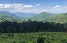 De vanzare, teren intravilan 10650mp, Predeal
