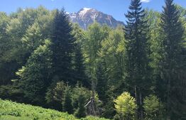 De vanzare, teren intravilan 10650mp, Predeal